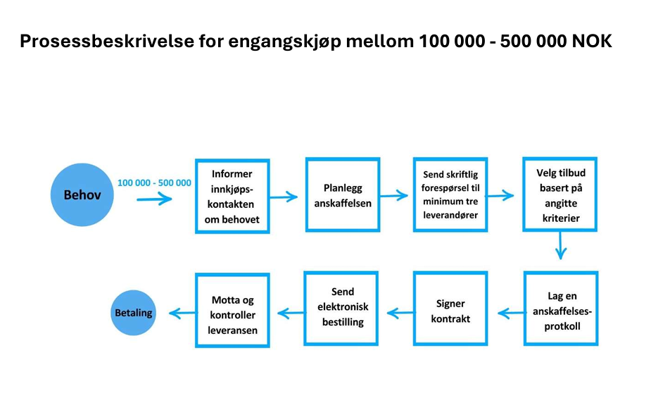 Prosessbeskrivelse for engangskjop fra behov til betaling